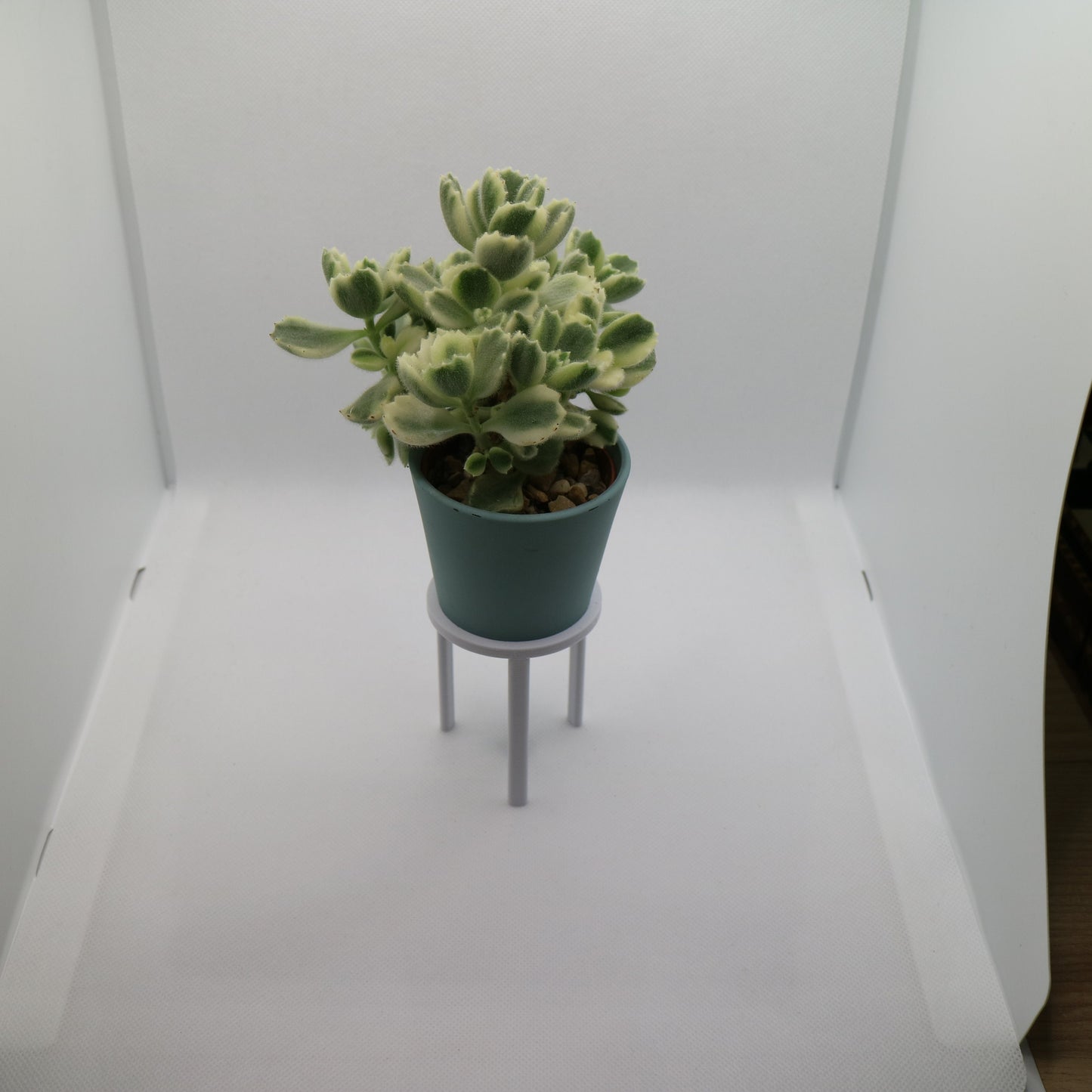Plant Pot Stand (x3) for plant pot / planter - Eco-friendly, sustainable, biodegradable plastic - Gift - Present - 3D Printed - 12 colours