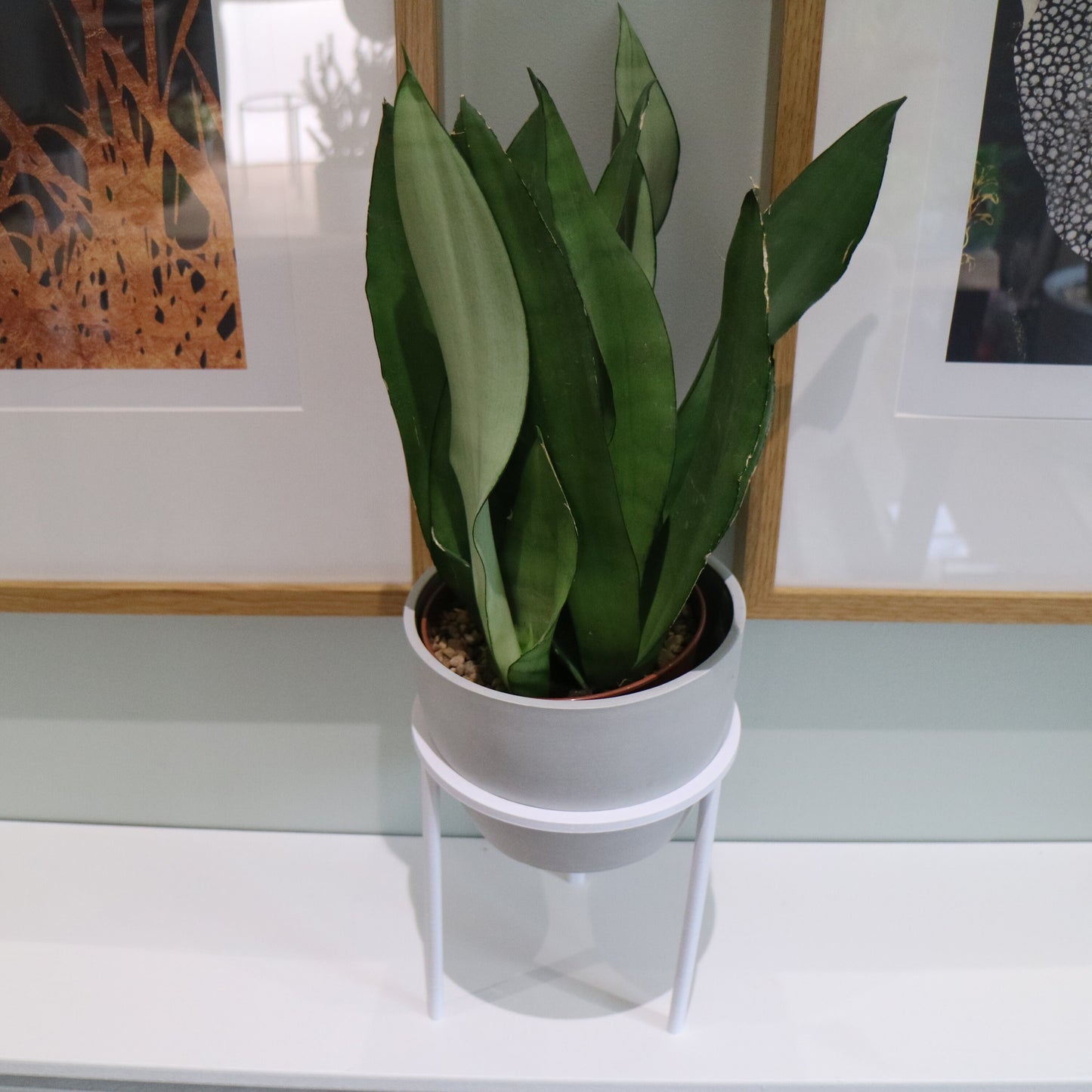 Plant Pot Stand (x3) for plant pot / planter - Eco-friendly, sustainable, biodegradable plastic - Gift - Present - 3D Printed - 12 colours