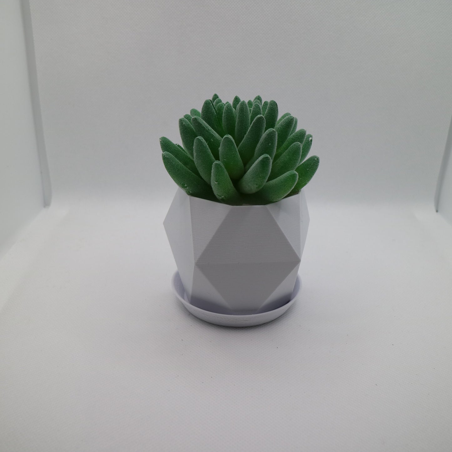 Geometric Plant pot / Planter - Pentagon-Triangle - Eco-friendly, sustainable, biodegradable plastic - Gift - Present - 3D Printed