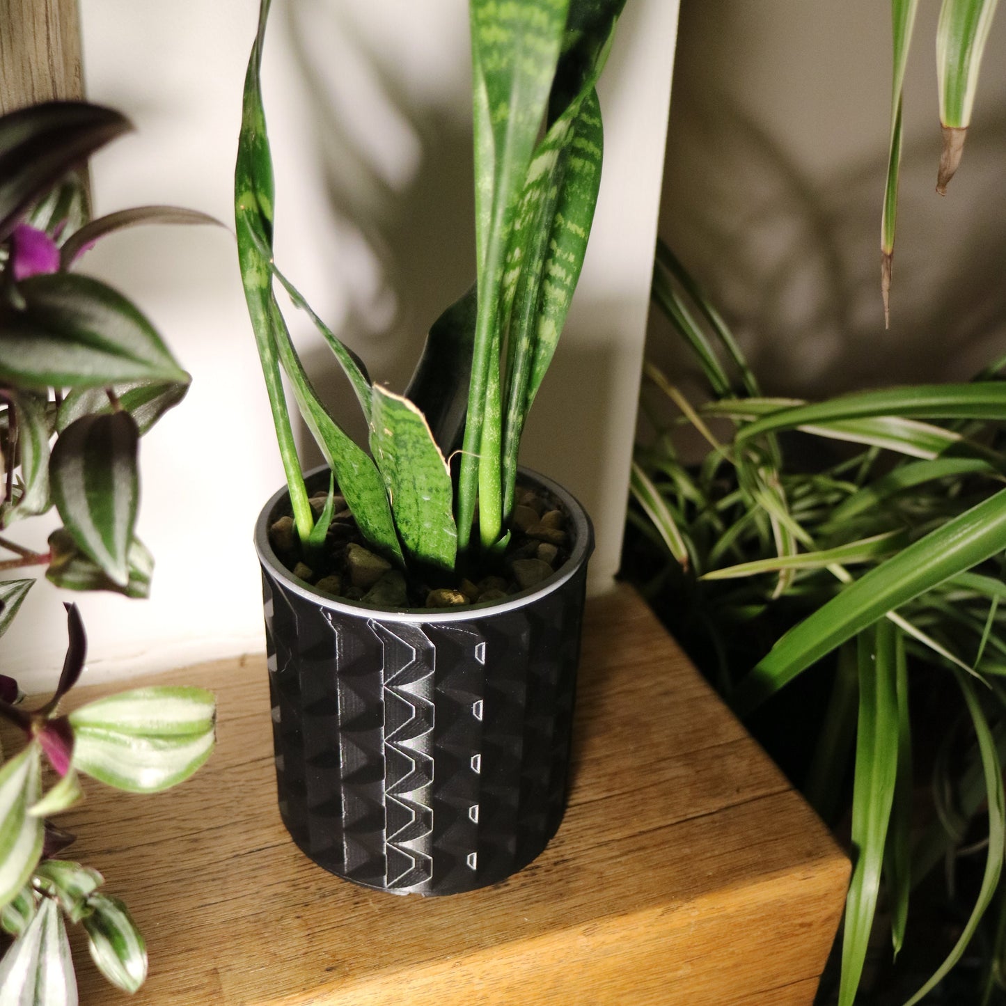 Indoor Plant Pot - Geometric pattern circular pot / planter - Eco-friendly, sustainable, biodegradable plastic - Gift - Present - 3D Printed