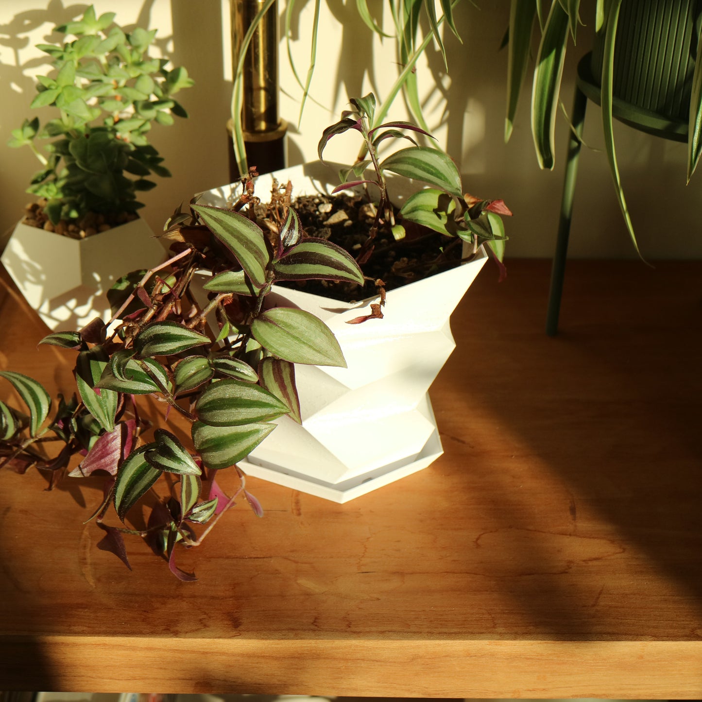 Zig-Zag Plant pot / Planter - Eco-friendly, sustainable, biodegradable plastic - Gift - Present - 3D Printed - 14 colours