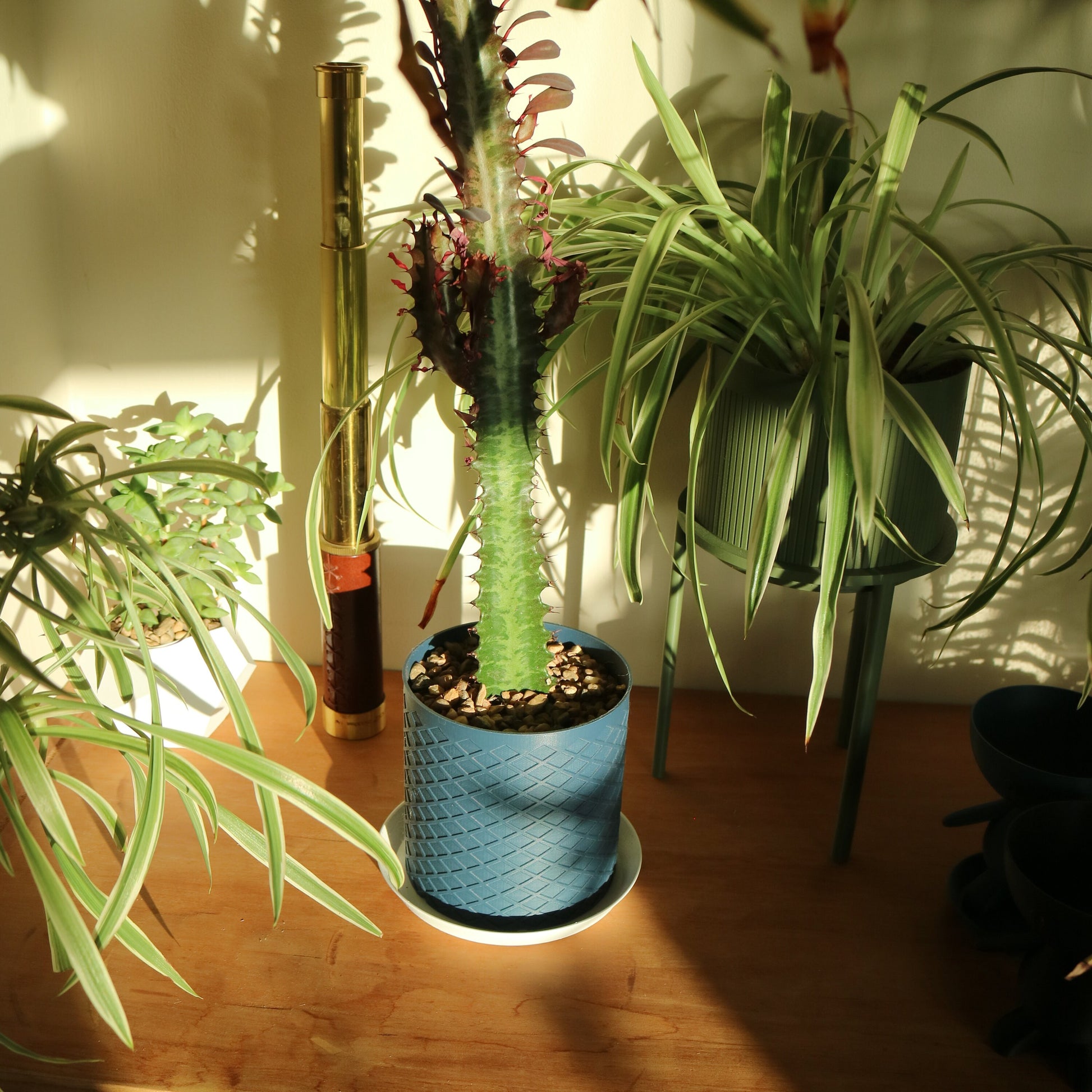 Indoor Plant Pot - Diamond pattern pot / planter - Eco-friendly, sustainable, biodegradable plastic - Gift - Present - 3Deco 3D Printed