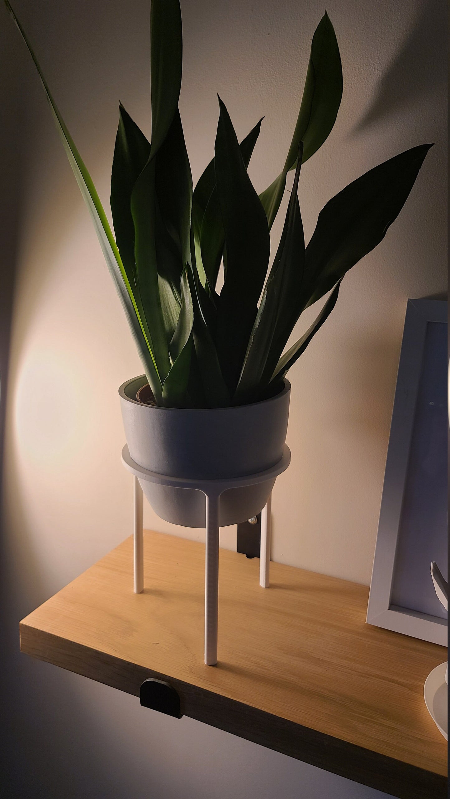 Plant Pot Stand (x3) for plant pot / planter - Eco-friendly, sustainable, biodegradable plastic - Gift - Present - 3D Printed - 12 colours