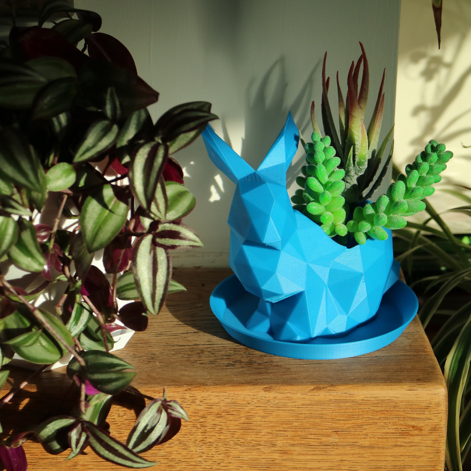 Circular drainage trays (Set of 3) for plant pots, 12 Colours, Small-Large (50-240mm) Eco-friendly plastic - Gift - Present - 3D Printed
